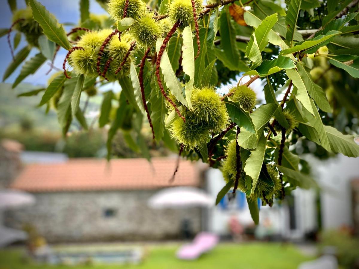 Casa Do Milhafre - Villaverde Azores Feteiras Zewnętrze zdjęcie